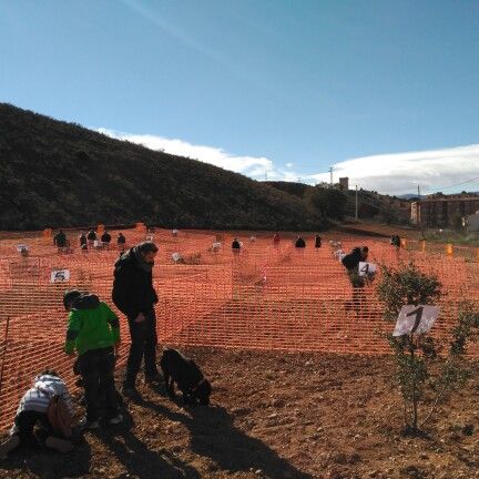 Concurso Nacional de Caza de Trufa de Daroca