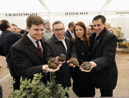 Ramón Celma, Luis María Beamonte, Marina Sevilla y Ángel Bonel