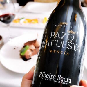 Mencía 2022 Pazo de La Cuesta