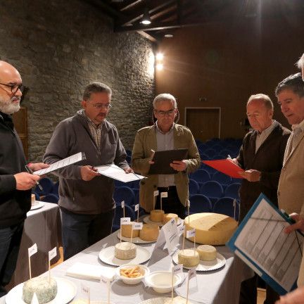 Jurado del V Concurso de Quesos de Aragón celebrado en Huesca