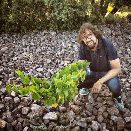 El aragonés Fernando Mora, nuevo Master of Wine, en el viñedo